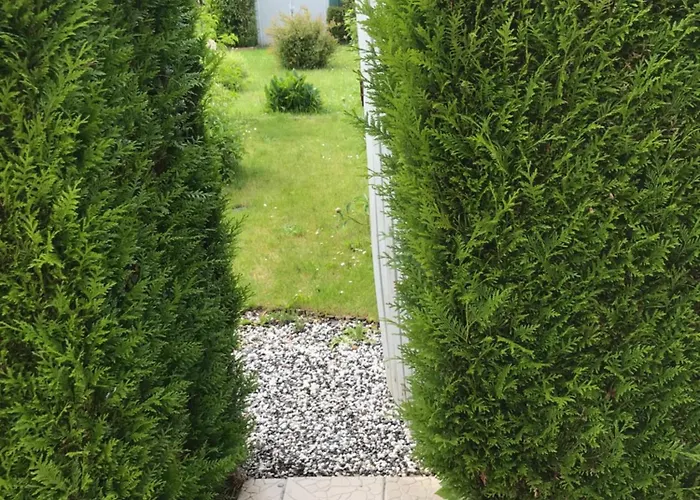 La Maison De Severine * Абвиль